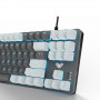 Клавіатура Aula Mechanical F3287 Grey/White keycap KRGD blue (6948391240954) (34458-03)