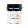 Краска для дерева PASTEL Wood Color Bionic-House 10л Коралл Р206