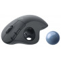 Мишка бездротова Logitech Ergo M575 Mouse Graphite (910-006221) (31604-03)