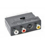 Адаптер Cablexpert SCART - S-Video, 3xRCA (M/F), чорний (CCV-4415) пакет (23325-03)