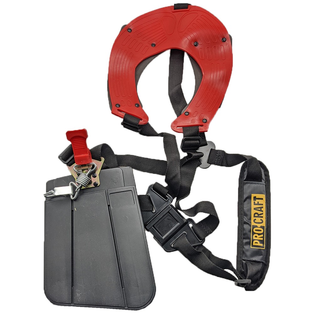 Коса бензинова Procraft T4200EL Electro Starter (PC-442002)