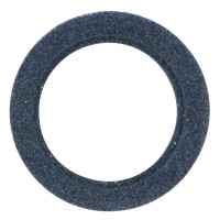 Заточувальний керамічний диск Procraft S56X40 до EBS250 (PC-005640)